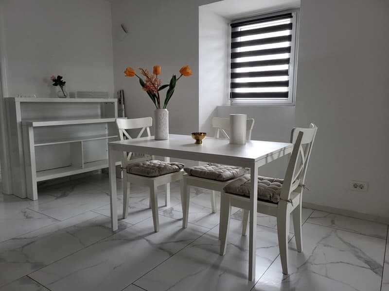 Apartment 1, dining area by the window