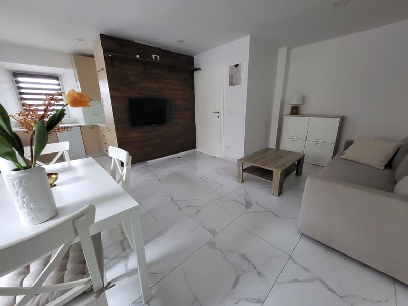 Apartment 1, living area