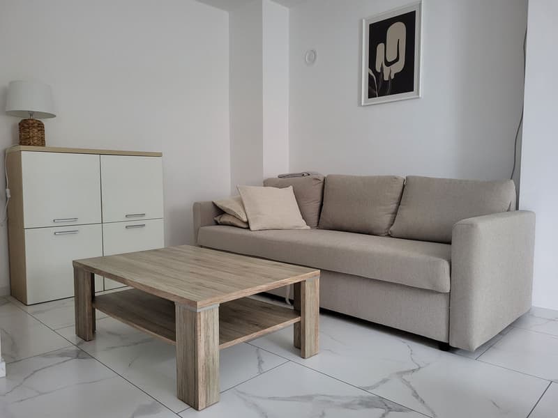 Apartment 1, sofa